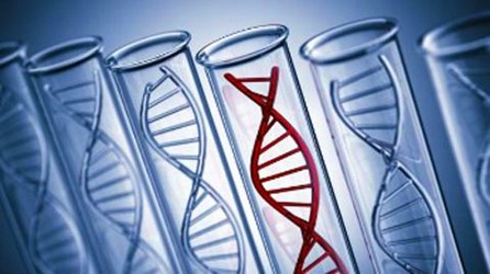 環球基因 Transgenomic色譜柱一覽表