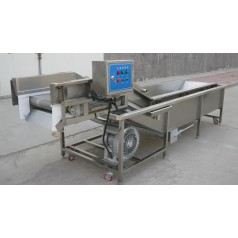 油菜氣泡清洗機，小白菜氣泡清洗機
