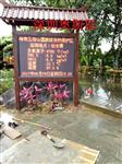 天然氧吧負氧離子濃度檢測 溫濕度氣象要素監(jiān)測