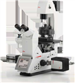 Leica研究級倒置電動顯微鏡DMi8倒置熒光顯微鏡謹(jǐn)通儀器全國報價銷售